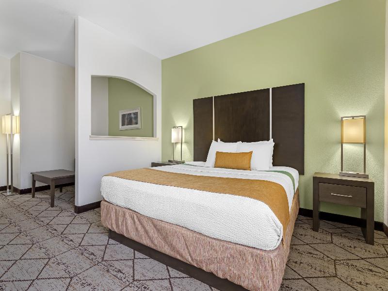 BEST WESTERN PLUS North Houston Inn & Suites image