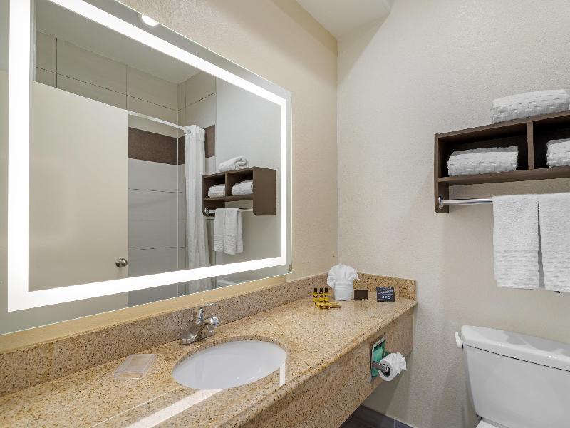BEST WESTERN PLUS North Houston Inn & Suites image