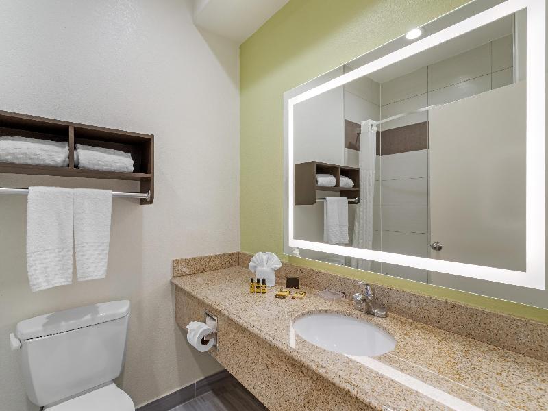 BEST WESTERN PLUS North Houston Inn & Suites image
