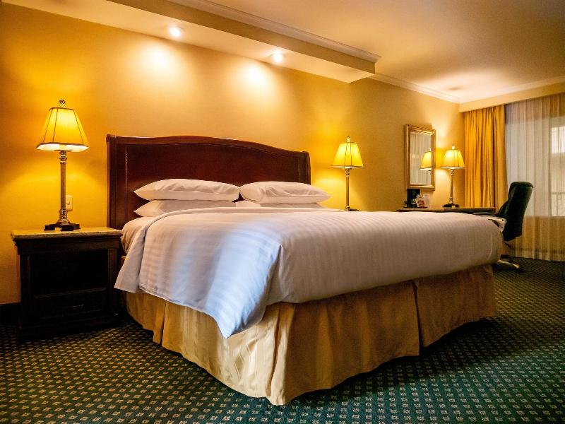 Marriott Torreon image
