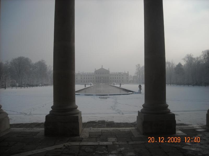 Villa Alighieri image