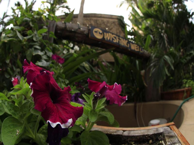 Villas El Rancho Green Resort  image