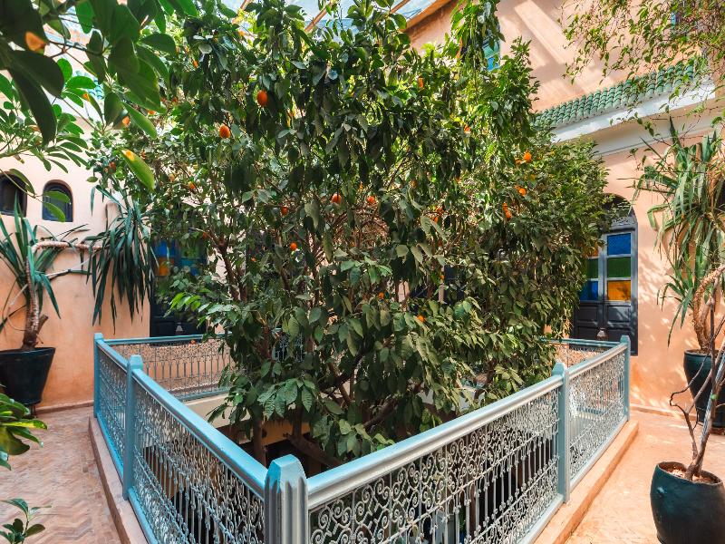 Riad Dama & Spa image