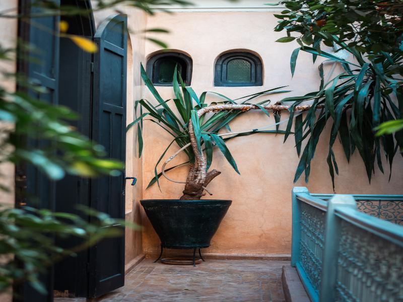 Riad Dama & Spa image
