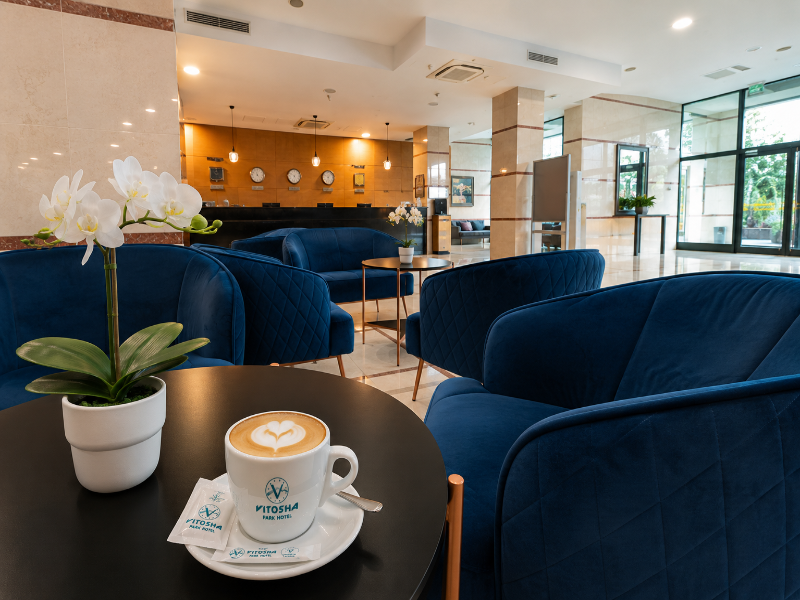 Vitosha Park Hotel — view