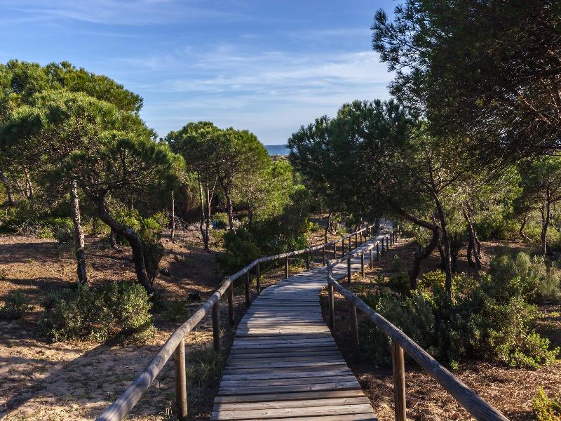 Barcelo Punta Umbria Beach Resort image