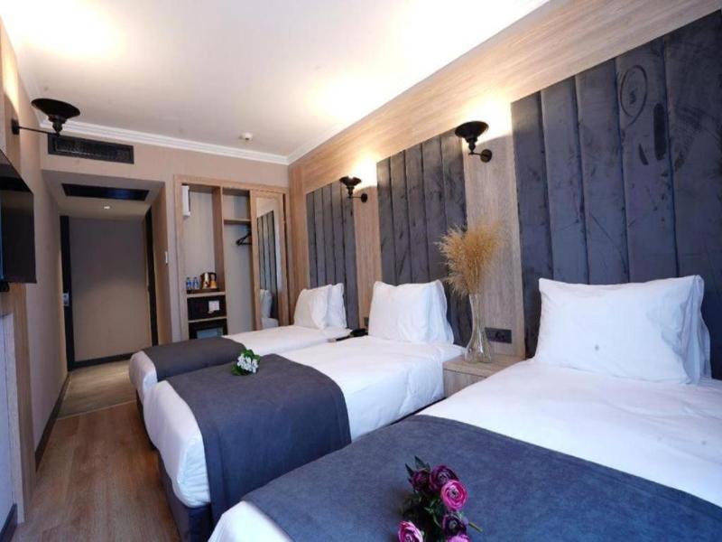 Mineo Hotel Taksim image