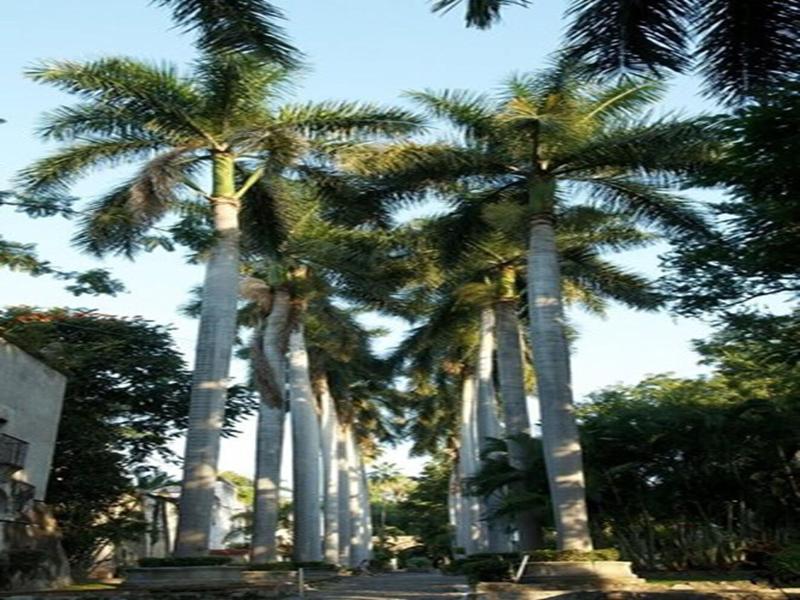 Hacienda Vista Hermosa  image
