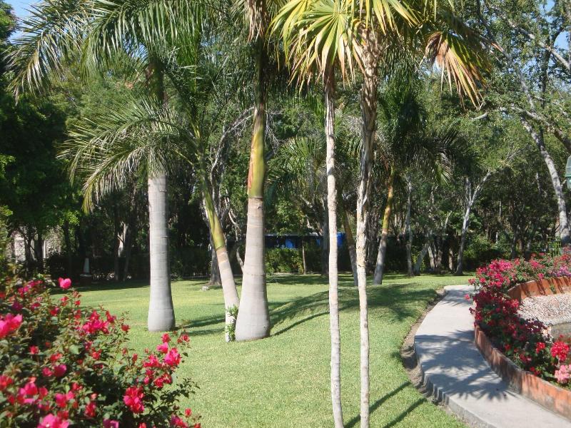 Hacienda Vista Hermosa  image