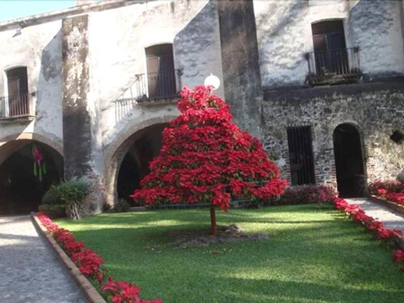 Hacienda Vista Hermosa  image