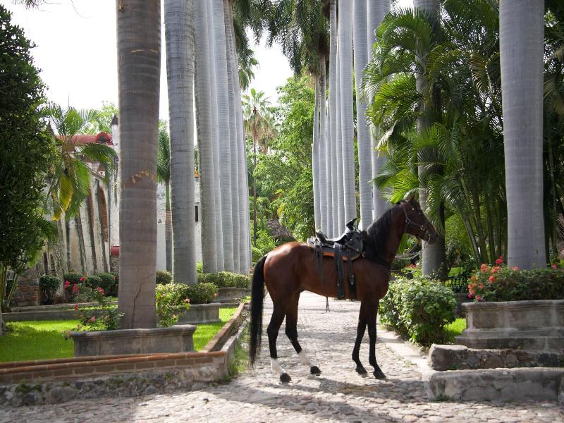 Hacienda Vista Hermosa  image