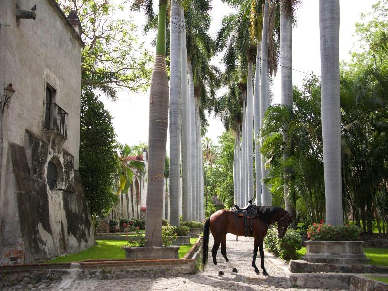 Hacienda Vista Hermosa  image