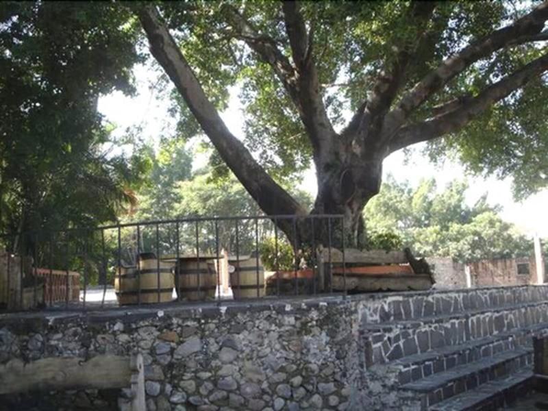 Hacienda Vista Hermosa  image