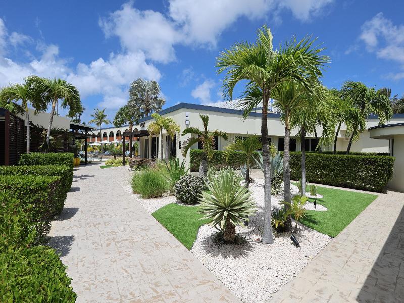 voco Surfside Aruba by IHG image