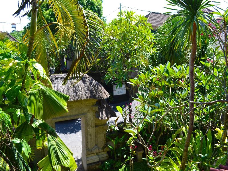 Flamboyan image