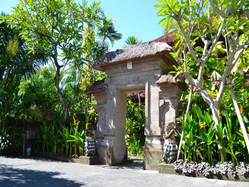 Flamboyan image