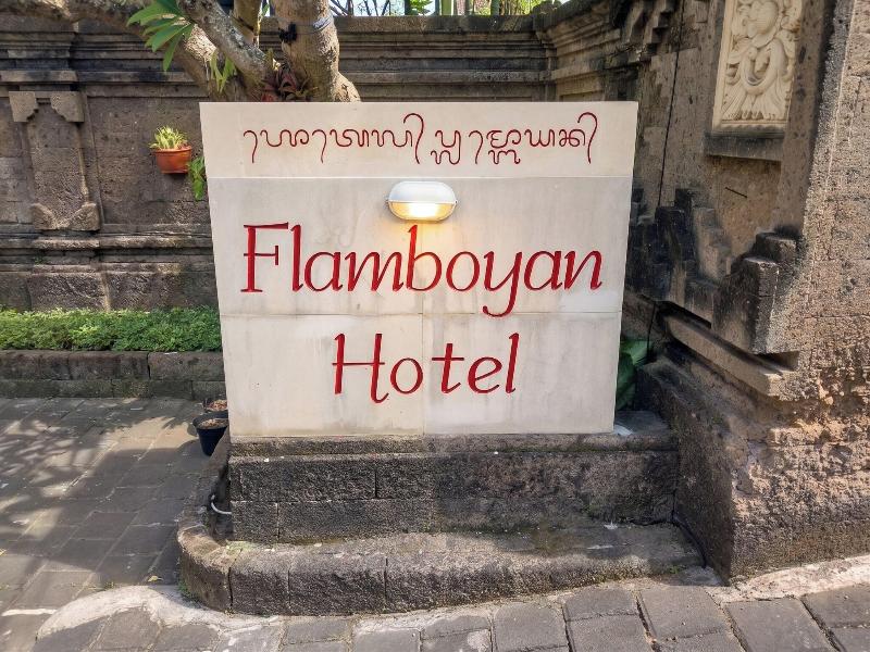 Flamboyan image