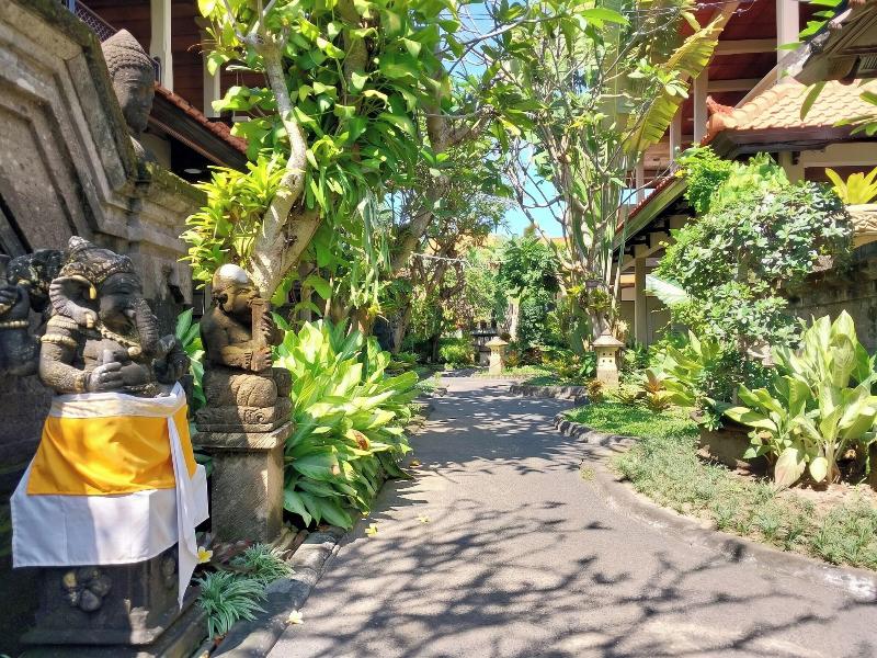 Flamboyan image