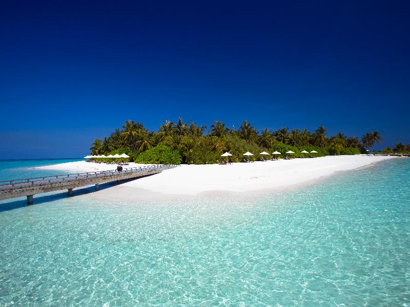 Niva Velassaru Maldives image
