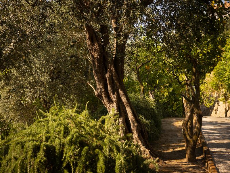 Villa Oriana Relais image