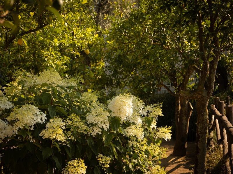 Villa Oriana Relais image
