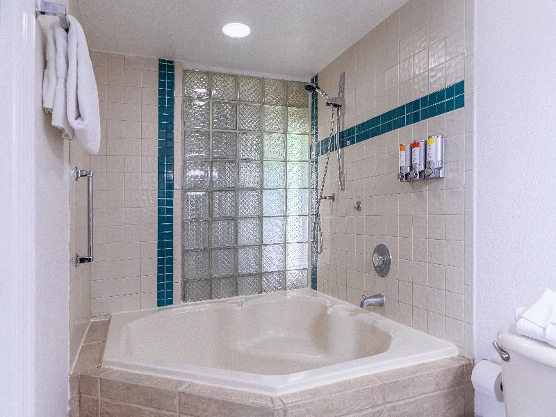 Legacy Vacation Resorts Disney Lake Buena Vista image