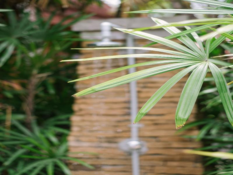 Ma Doo Bua Phuket - Thai Villas (SHA PLUS+) image