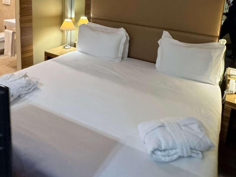 Mercure Roma Centro St. John image