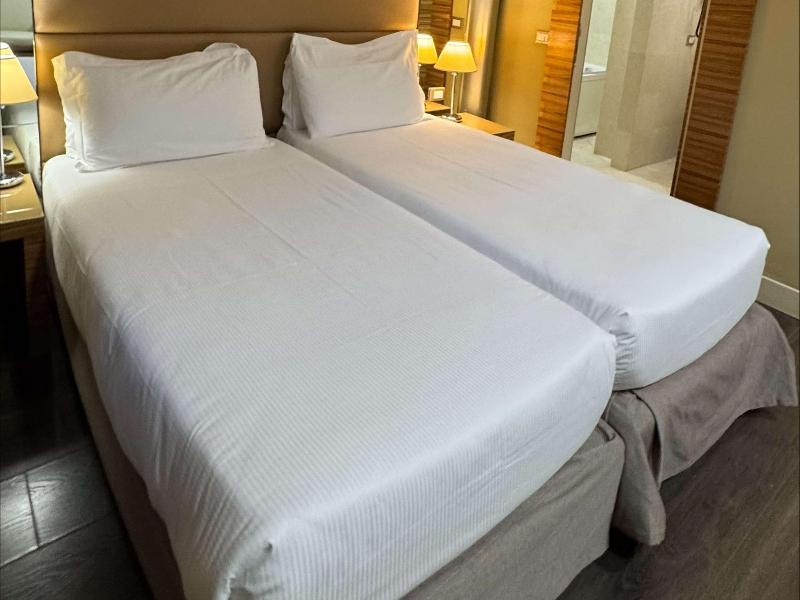 Mercure Roma Centro St. John image