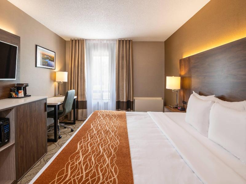 Comfort Inn Lakeshore image