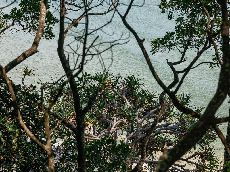 Elysium Noosa Resort - MGallery Collection image