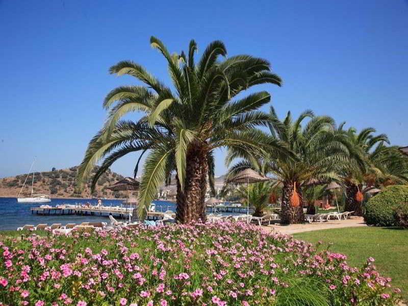 Princess Artemisia Hotel — view