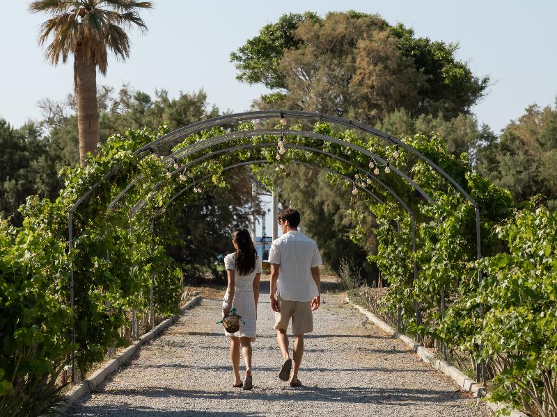 Grecotel Creta Palace image