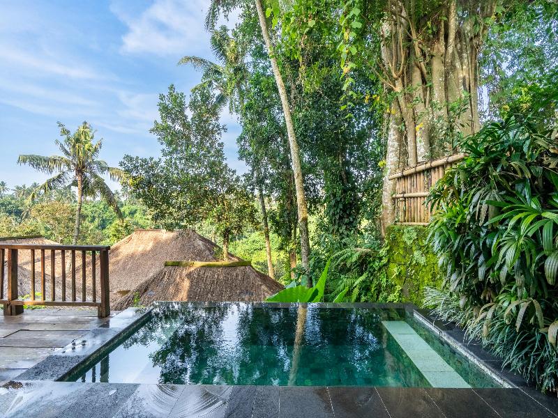 Natura Villa Resort & Spa Ubud Bali image