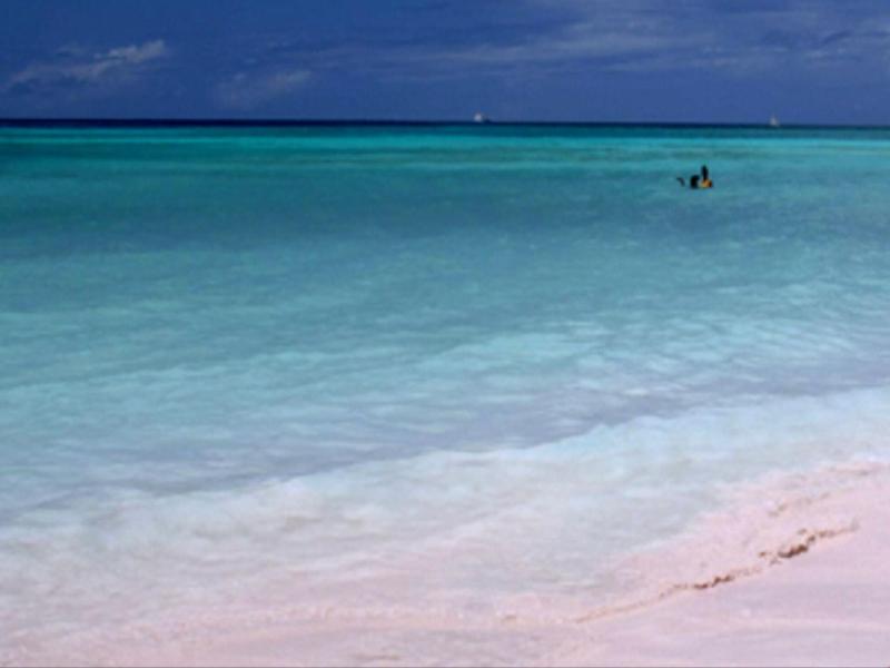 Golden Sands image
