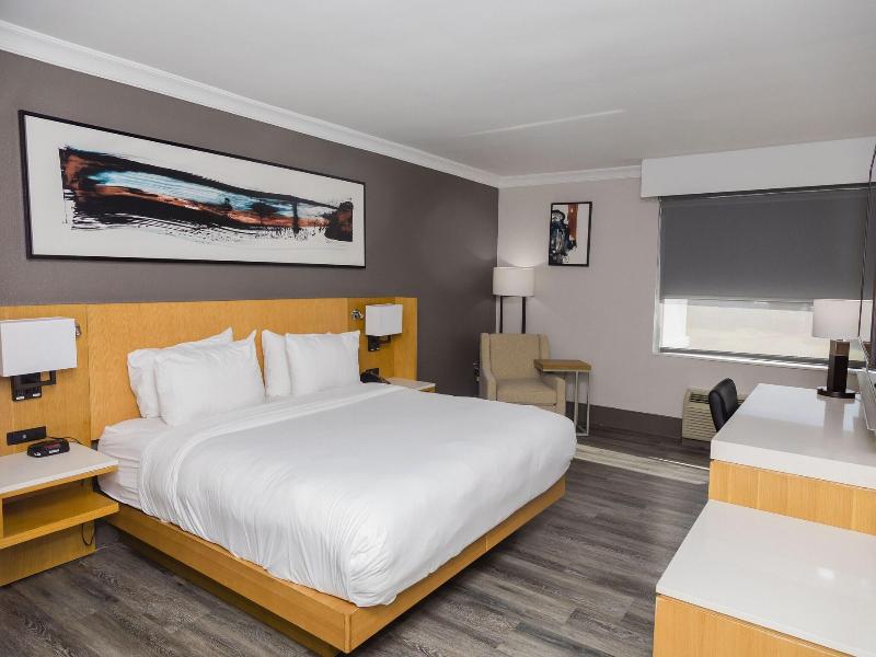 Suite, 1 King Bed with Sofa bed (1 King Bed and 1 Double Sofa Bed)