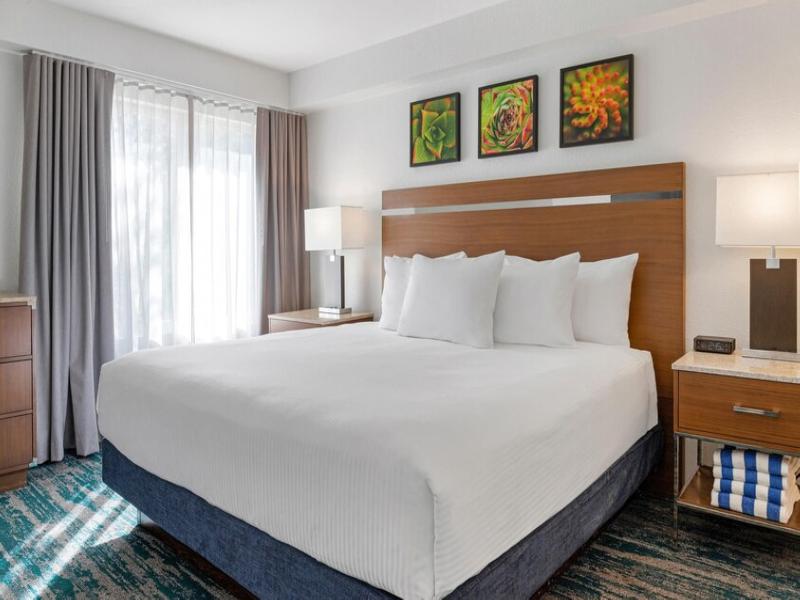 Desert Rose Resort image