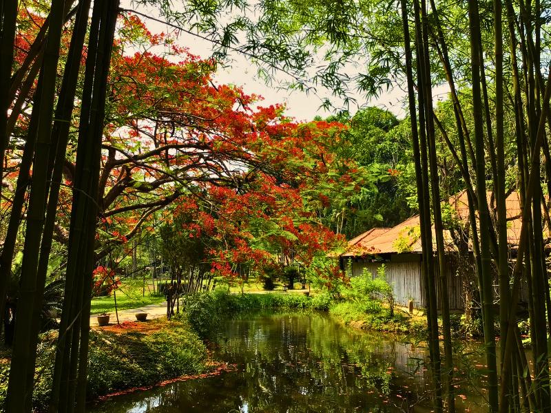 Pai Hotspring Spa Resort image