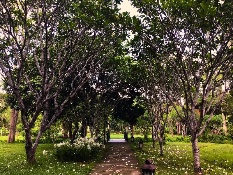 Pai Hotspring Spa Resort image