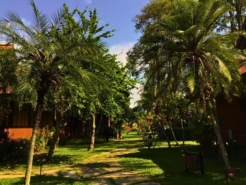 Pai Hotspring Spa Resort image