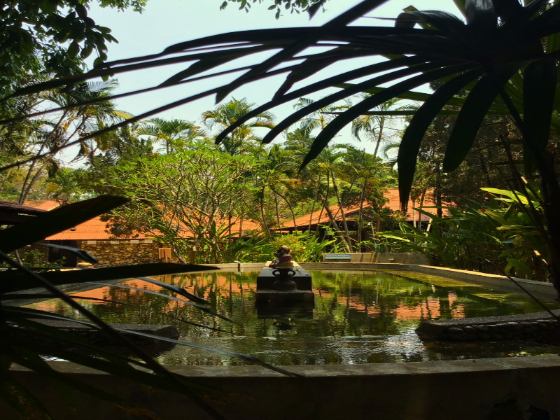 Pai Hotspring Spa Resort image