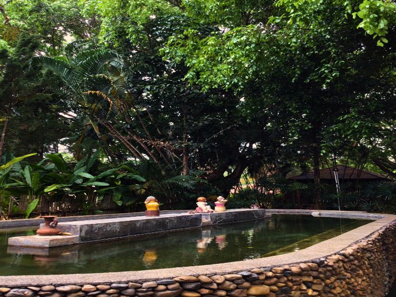 Pai Hotspring Spa Resort image