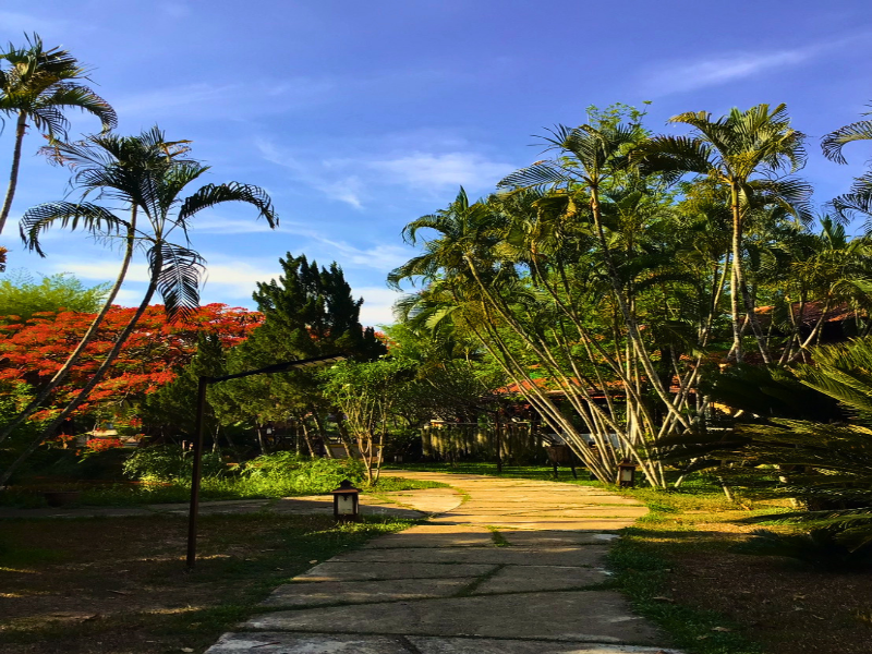 Pai Hotspring Spa Resort image