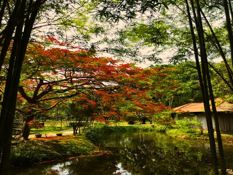 Pai Hotspring Spa Resort image