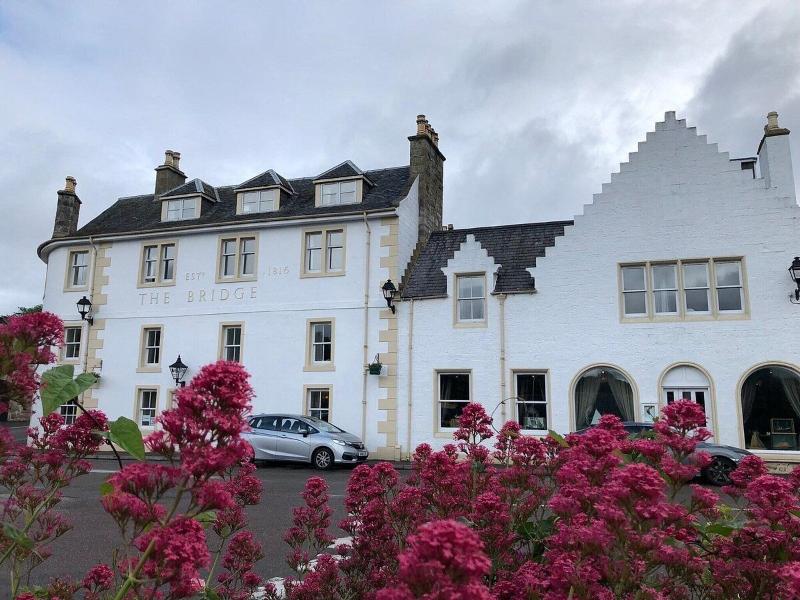 Bridge Hotel  image