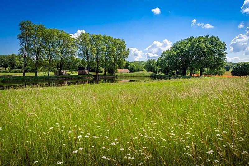 Domaine Saint-Hilaire image