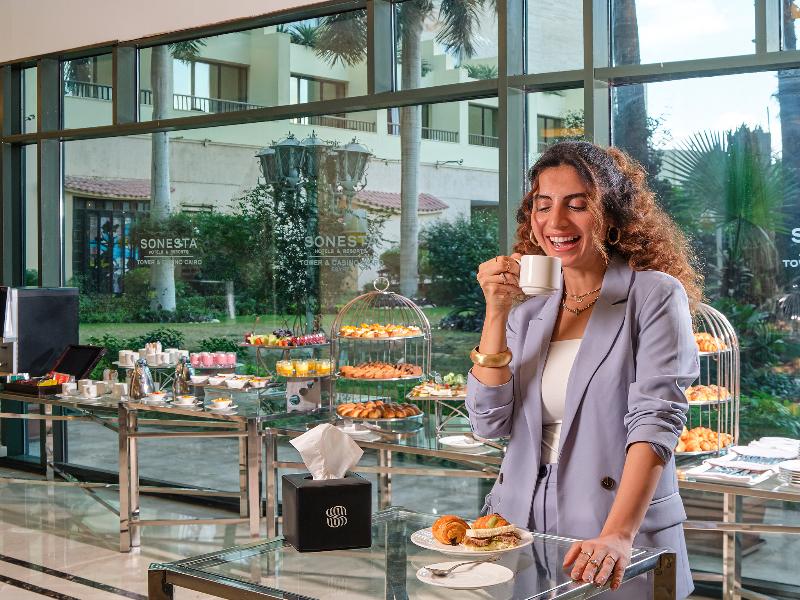 Sonesta Hotel Tower & Casino Cairo image