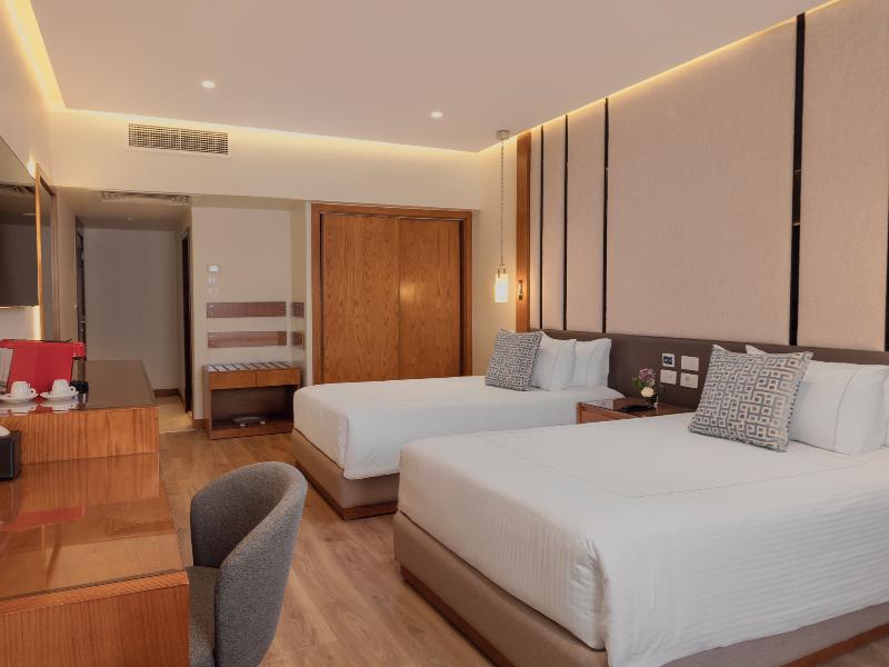 Sonesta Hotel Tower & Casino Cairo image