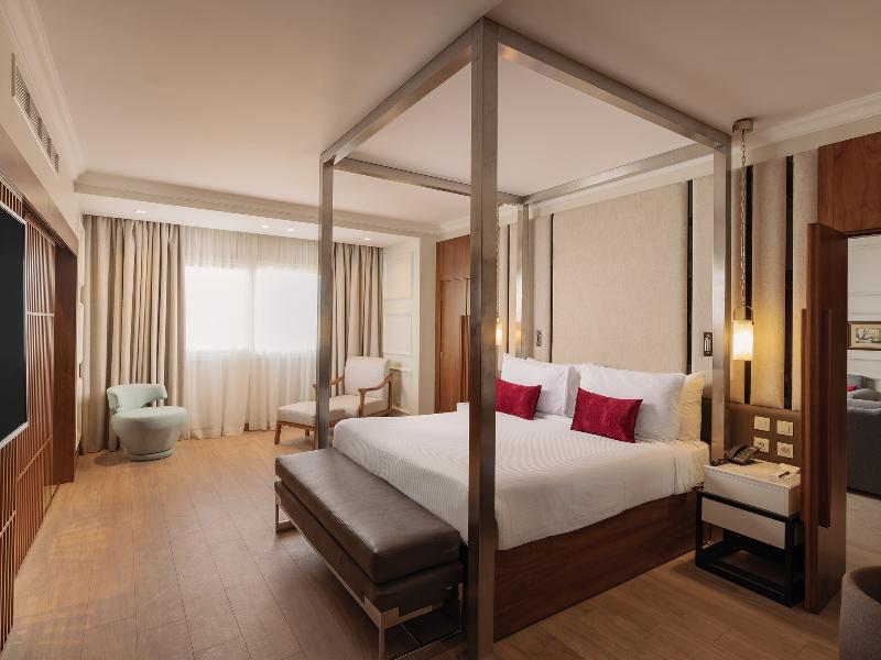 Sonesta Hotel Tower & Casino Cairo image