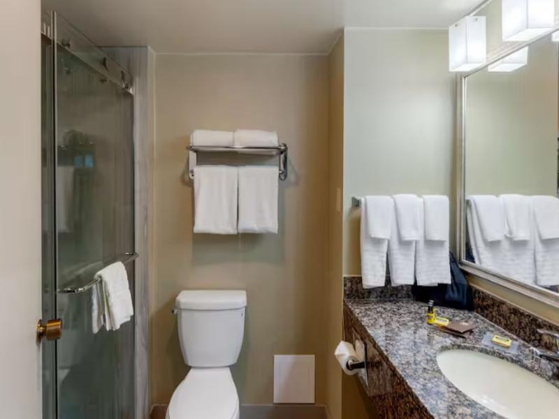 Best Western Plus Toronto Airport image